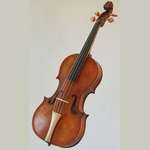 VIOLA